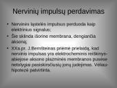 Organizmo veiklos reguliavimas ir orientavimasis aplinkoje 6 puslapis