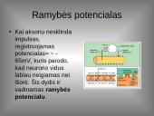 Organizmo veiklos reguliavimas ir orientavimasis aplinkoje 7 puslapis