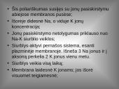 Organizmo veiklos reguliavimas ir orientavimasis aplinkoje 8 puslapis