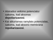 Organizmo veiklos reguliavimas ir orientavimasis aplinkoje 10 puslapis