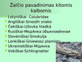 Organizmų apibūdinimas pagal K. Gesnerio sistemą 14 puslapis