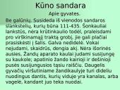 Organizmų apibūdinimas pagal K. Gesnerio sistemą 17 puslapis