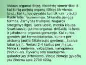 Organizmų apibūdinimas pagal K. Gesnerio sistemą 18 puslapis