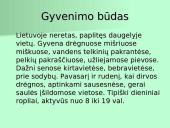 Organizmų apibūdinimas pagal K. Gesnerio sistemą 19 puslapis