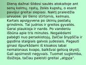 Organizmų apibūdinimas pagal K. Gesnerio sistemą 20 puslapis
