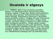 Organizmų apibūdinimas pagal K. Gesnerio sistemą 6 puslapis