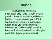 Organizmų apibūdinimas pagal K. Gesnerio sistemą 7 puslapis