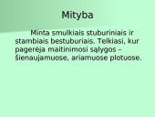 Organizmų apibūdinimas pagal K. Gesnerio sistemą 8 puslapis