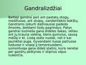 Organizmų apibūdinimas pagal K. Gesnerio sistemą 9 puslapis