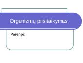 Organizmų prisitaikymas