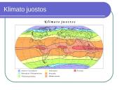 Organizmų prisitaikymas 3 puslapis