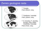 Organizmų prisitaikymas 4 puslapis