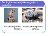 Organizmų prisitaikymas 5 puslapis