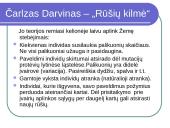 Organizmų prisitaikymas 6 puslapis