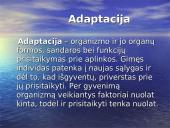 Organizmų prisitaikymas prie aplinkos 3 puslapis