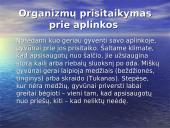 Organizmų prisitaikymas prie aplinkos 4 puslapis