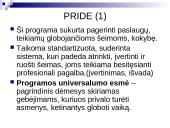 Pagrindinės sampratos susijusios su vaiko globa šeimoje 13 puslapis