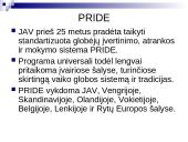 Pagrindinės sampratos susijusios su vaiko globa šeimoje 10 puslapis