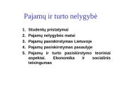 Pajamų ir turto nelygybė 2 puslapis