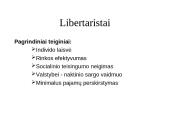 Pajamų ir turto nelygybė 17 puslapis