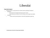 Pajamų ir turto nelygybė 18 puslapis