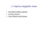 Pajamų ir turto nelygybė 3 puslapis