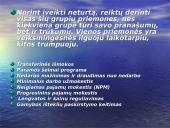 Pajamų nelygybės reguliavimo būdai 11 puslapis