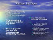 Pajamų nelygybės reguliavimo būdai 3 puslapis