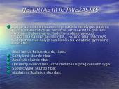 Pajamų nelygybės reguliavimo būdai 8 puslapis