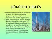 Pamoka 8-oje klasėje: Žmonių populiacijos poveikis gamtai 5 puslapis
