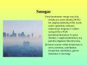 Pamoka 8-oje klasėje: Žmonių populiacijos poveikis gamtai 6 puslapis