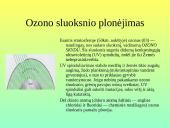 Pamoka 8-oje klasėje: Žmonių populiacijos poveikis gamtai 7 puslapis