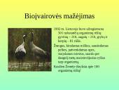 Pamoka 8-oje klasėje: Žmonių populiacijos poveikis gamtai 9 puslapis