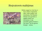 Pamoka 8-oje klasėje: Žmonių populiacijos poveikis gamtai 10 puslapis