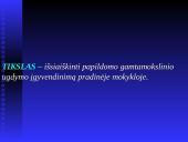 Papildomas gamtamokslinis ugdymas pradžios mokykloje 2 puslapis