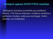 Papildomas gamtamokslinis ugdymas pradžios mokykloje 12 puslapis