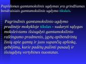 Papildomas gamtamokslinis ugdymas pradžios mokykloje 6 puslapis