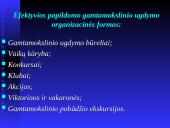 Papildomas gamtamokslinis ugdymas pradžios mokykloje 8 puslapis