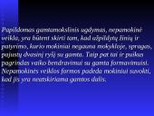 Papildomas gamtamokslinis ugdymas pradžios mokykloje 10 puslapis