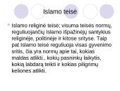 Pasaulinės teisinės sistemos 13 puslapis