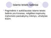 Pasaulinės teisinės sistemos 14 puslapis