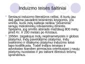 Pasaulinės teisinės sistemos 17 puslapis