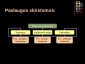 Paslaugų reikšmė ir įvairovė 6 puslapis