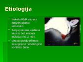 Patologinis anatominis triušio tyrimas 2 puslapis