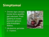 Patologinis anatominis triušio tyrimas 4 puslapis