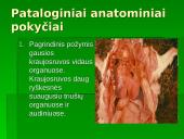 Patologinis anatominis triušio tyrimas 5 puslapis