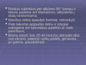 Pažintis su kompiuteriu 12 puslapis