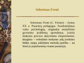 Pedagoginiai invariantai 2 puslapis