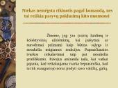 Pedagoginiai invariantai 12 puslapis