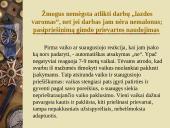 Pedagoginiai invariantai 13 puslapis